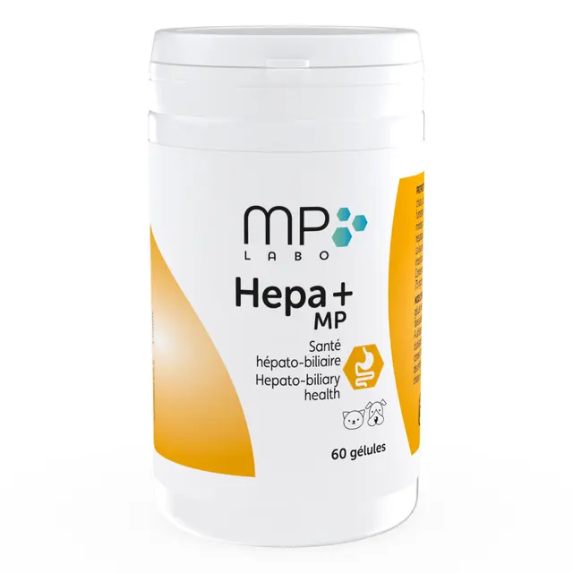 Hepa+ MP