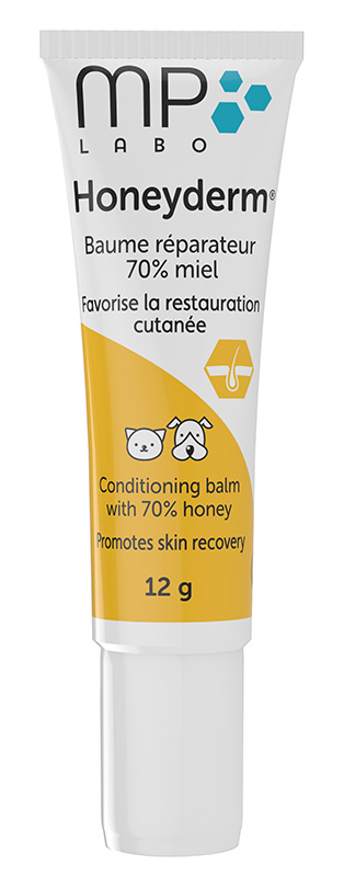 Honeyderm honey-based conditioning balm